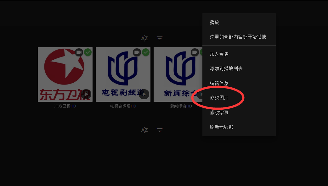 图片[7]-NAS安装Emby实现播放电视源-RSG-人生观