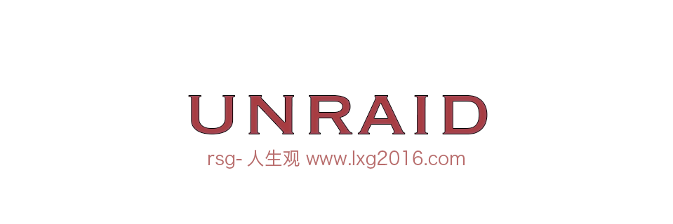 unraid 更换硬盘，生成新配置-RSG-人生观
