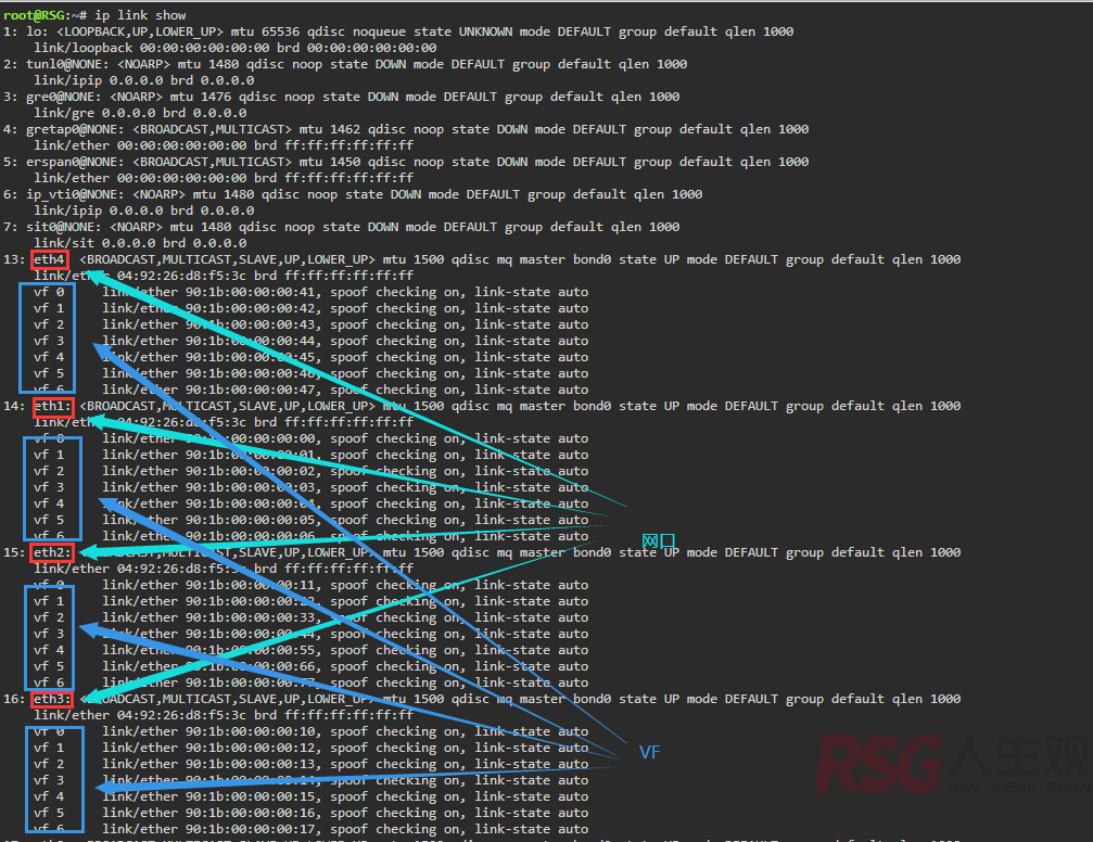 unRAID SR-IOV IP无法固定-RSG-人生观