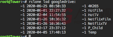 图片[9]-unRAID Rclone挂载Google Drive 云盘-RSG-人生观
