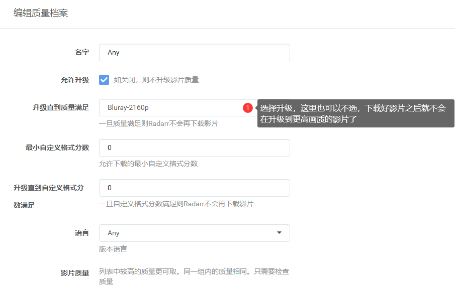 图片[12]-unRAID 安装Radarr-RSG-人生观