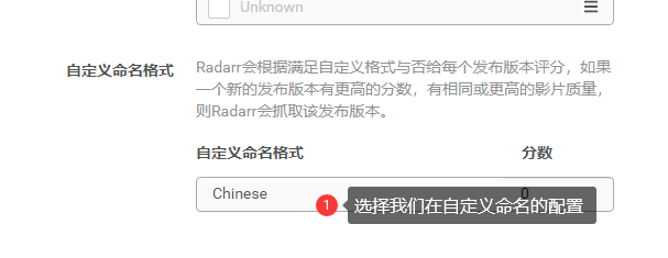 图片[14]-unRAID 安装Radarr-RSG-人生观
