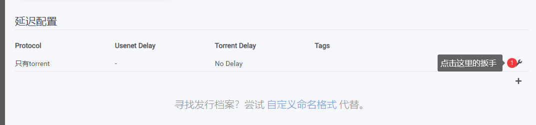 图片[15]-unRAID 安装Radarr-RSG-人生观