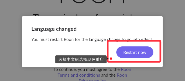 图片[6]-UNRAID 安装ROON（和谐）-RSG-人生观