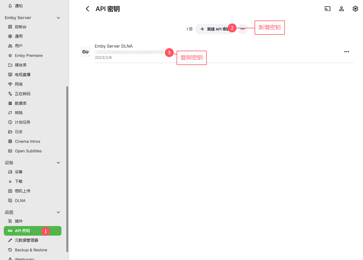图片[2]-Emby 网盘302播放,STRM-RSG-人生观